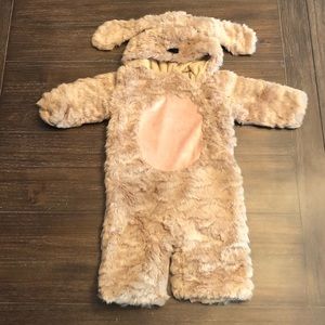 Pottery Barn kids baby dog Halloween costume